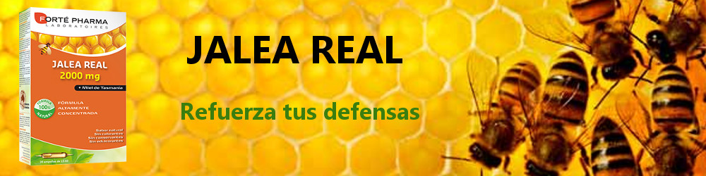 jalea_real.jpg